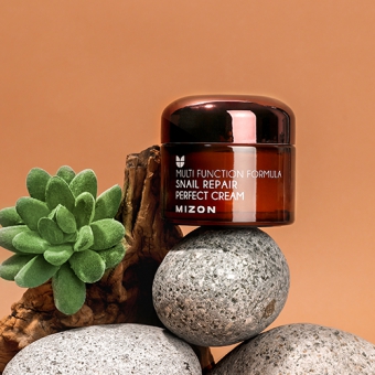 MIZON Krem do twarzy z filtratem ze śluzu ślimaka Snail Repair Perfect Cream 50ml